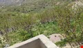 فروش باغ سیسخت
